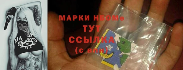ешки Бородино